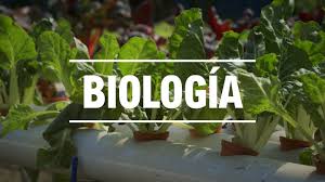 Biología Tercero B.G.U (A)